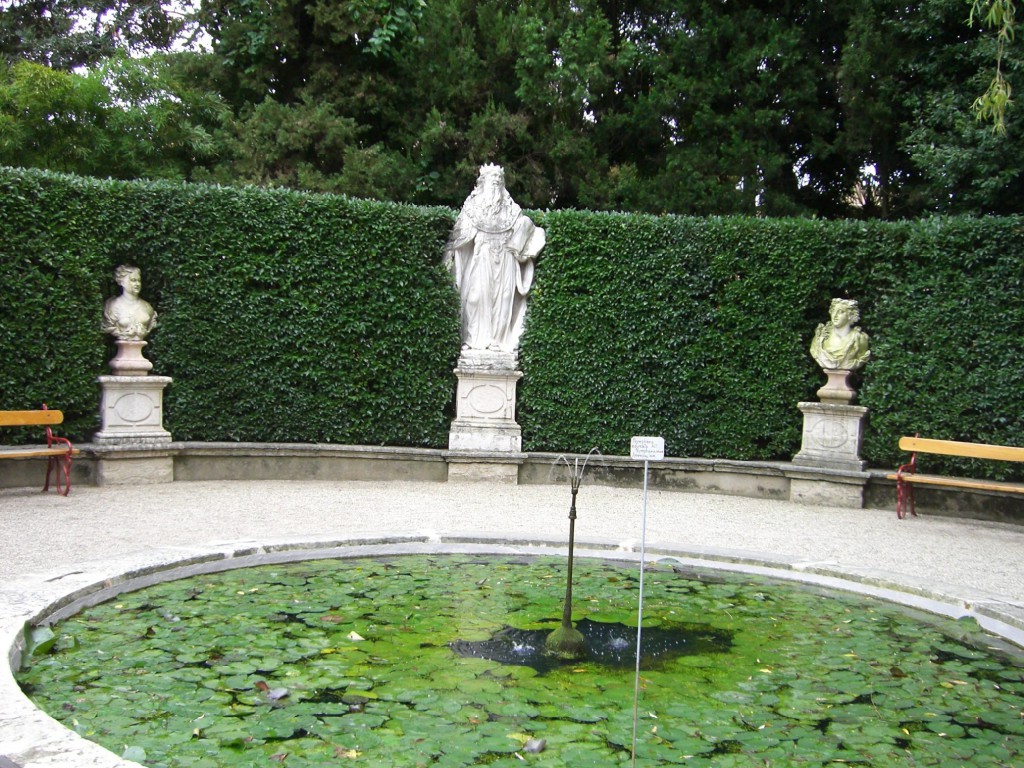 Padova 植物園　睡蓮②